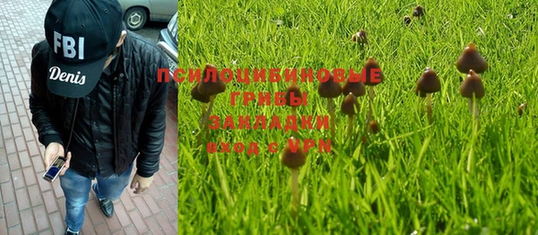 амф Остров