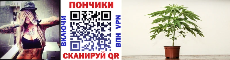 Конопля THC 21%  Сусуман 